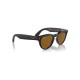 Смарт-очки Ray-Ban Meta Headliner Matte Rebel Black Frame/Brown Lenses (RW4009 675483 50-23)